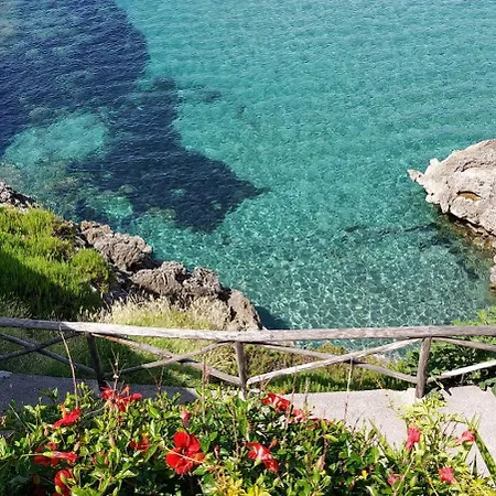 Calanca Guest house *